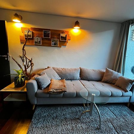 Terrassenwohnung Mit Toller Aussicht & Zentrumsnah Hornberg Bagian luar foto