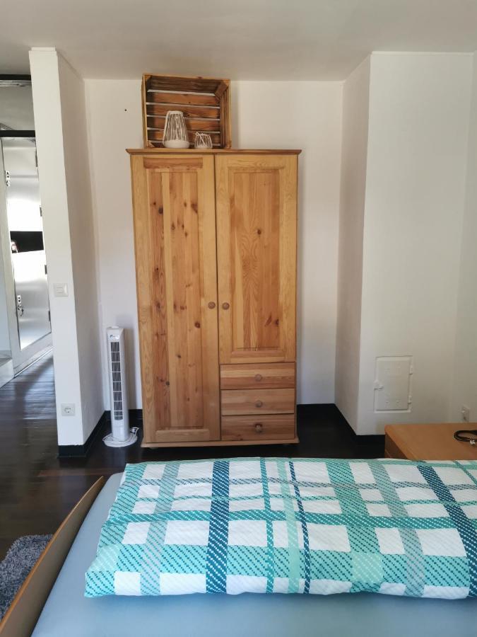 Terrassenwohnung Mit Toller Aussicht & Zentrumsnah Hornberg Bagian luar foto