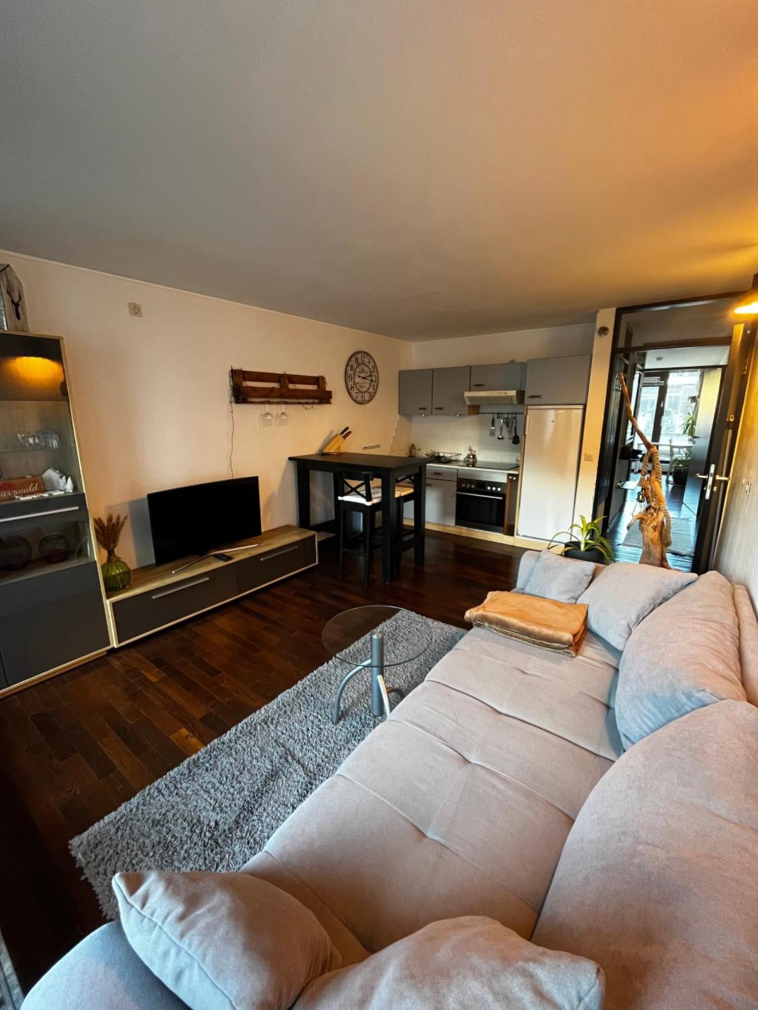 Terrassenwohnung Mit Toller Aussicht & Zentrumsnah Hornberg Bagian luar foto